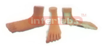 BIG FLAT FOOT MODEL